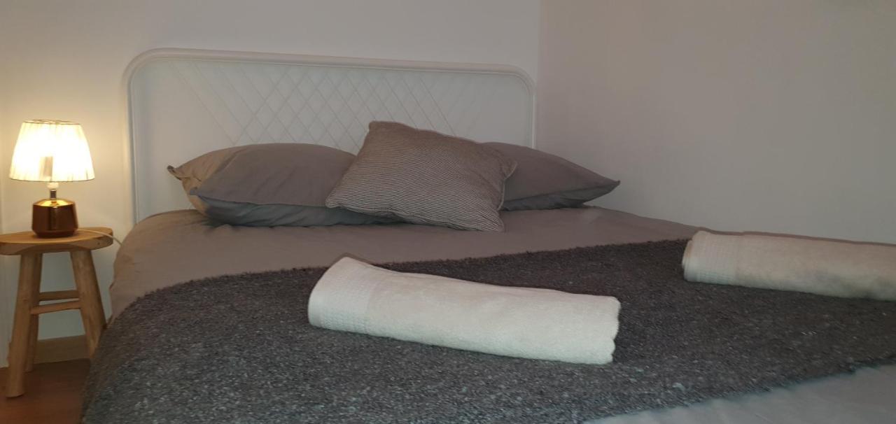 Santocha : Appartement En Plein Coeur De Ville ! Carcassonne Zewnętrze zdjęcie