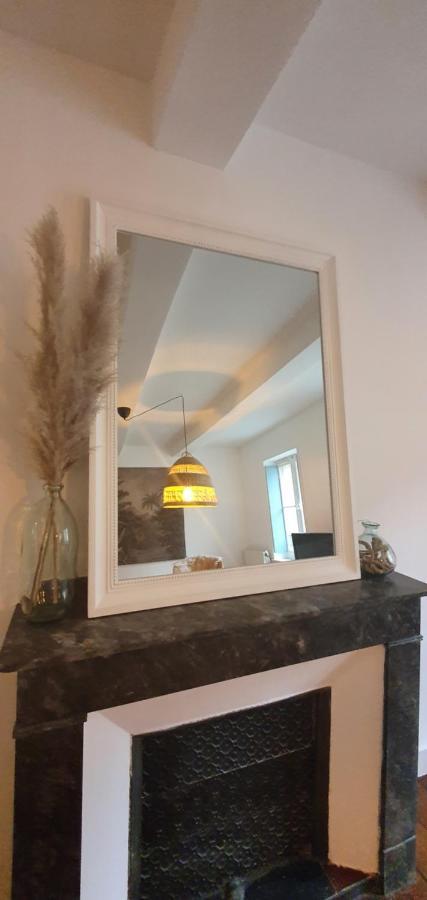 Santocha : Appartement En Plein Coeur De Ville ! Carcassonne Zewnętrze zdjęcie