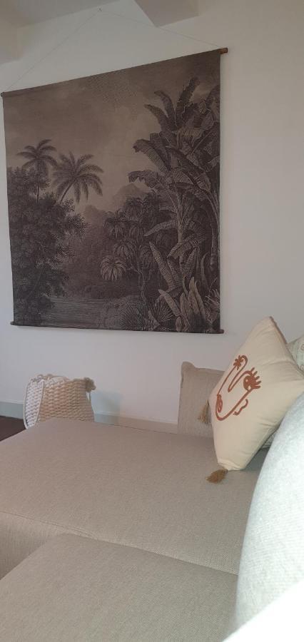 Santocha : Appartement En Plein Coeur De Ville ! Carcassonne Zewnętrze zdjęcie